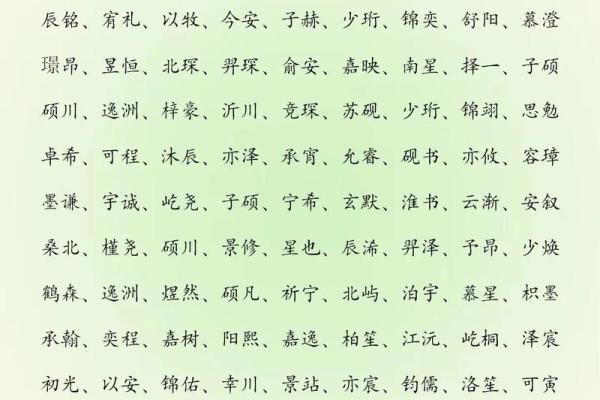 2019年3月31号辛时出生的男孩要怎么起名字姓名