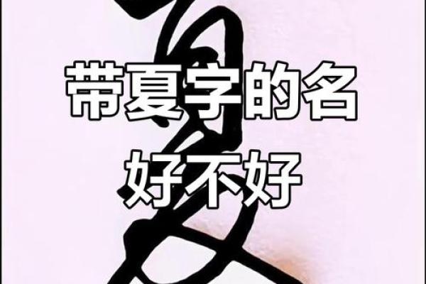 夏姓男孩名字大全-夏姓男孩起名字大全-夏姓名字大全姓名