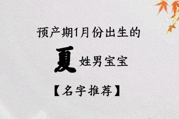 夏姓男孩名字大全-夏姓男孩起名字大全-夏姓名字大全姓名