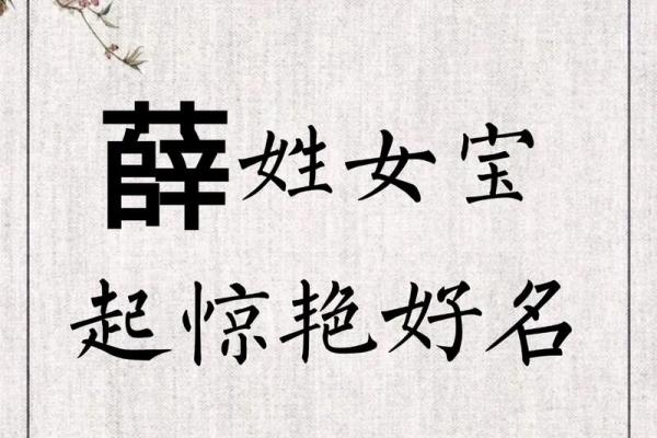 薛姓男孩名字大全-薛姓男孩起名字大全-薛姓名字大全姓名