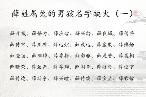 薛姓男孩名字大全-薛姓男孩起名字大全-薛姓名字大全姓名