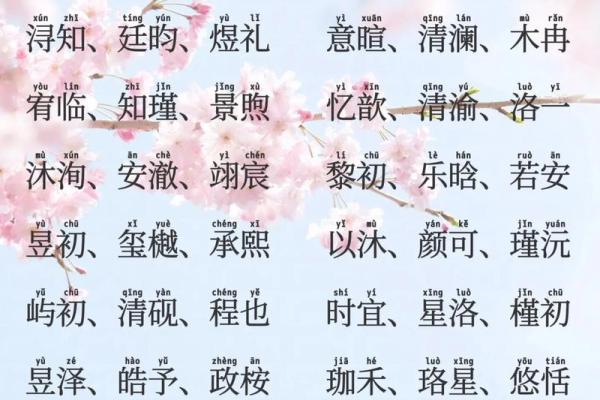 2019年6月1号丑时出生的男孩要怎么起名字姓名