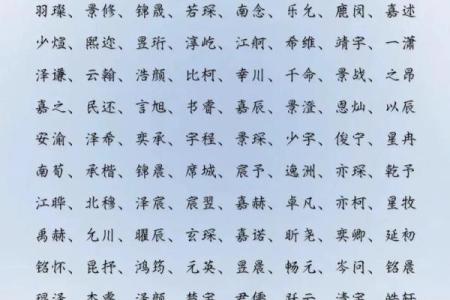 2019年6月24号丑时出生的男孩起名时要注意什么姓名