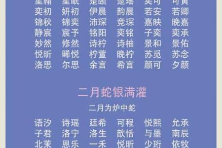 8月份出生的属蛇男孩适合起哪些名字姓名