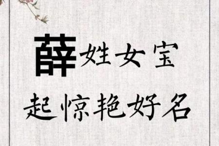 薛姓男孩名字大全-薛姓男孩起名字大全-薛姓名字大全姓名