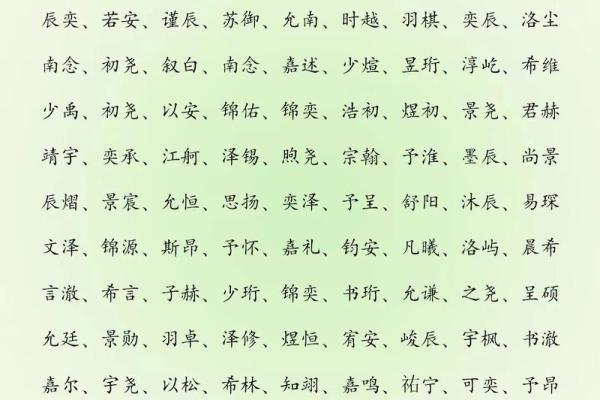 2019年3月17号亥时出生的男孩应该起什么样的名字姓名