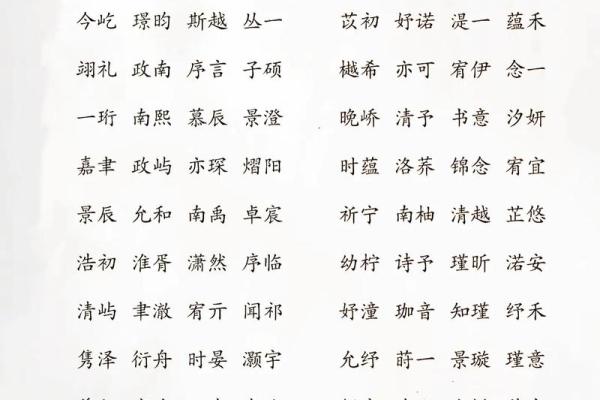 下午2点出生的属蛇男孩如何起名，宜用什么字姓名