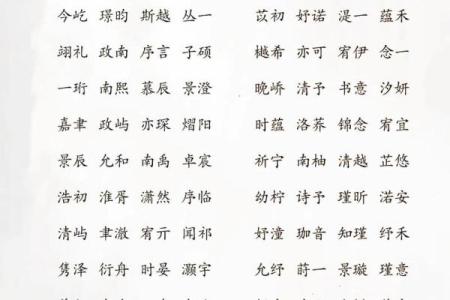 下午2点出生的属蛇男孩如何起名，宜用什么字姓名