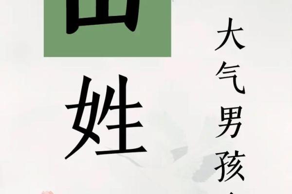 2019年3月26号卯时出生的男孩要怎么起名字姓名