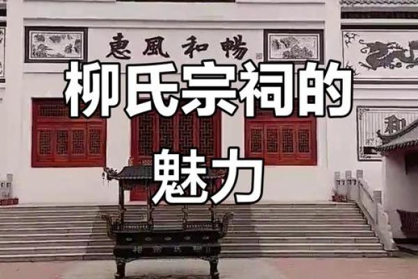 柳姓男孩名字大全-柳姓男孩起名字大全-柳姓名字大全姓名