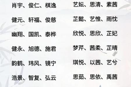 2019年3月26号卯时出生的男孩要怎么起名字姓名