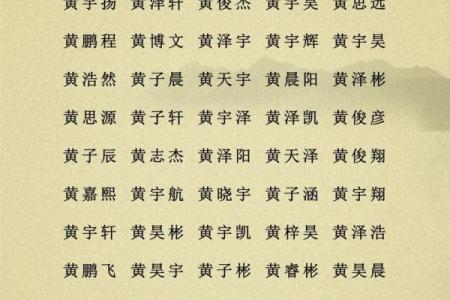 2019年5月15号子时出生的男孩要怎么起名字姓名