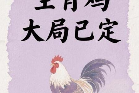 中午1点出生的属鸡男孩取名字适合用哪些字姓名