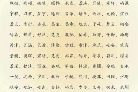 2019年5月19号寅时出生的男孩应该起什么样的名字姓名