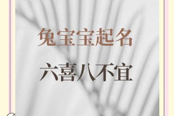 属兔卯时出生的男孩取名宜用什么字姓名 属兔卯时出生的男孩取名宜用什么字姓名