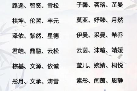 2019年6月25号子时出生的男孩起名方法姓名