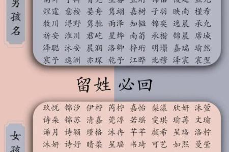 晚上12点出生的属蛇男孩怎样起名，宜用什么字姓名