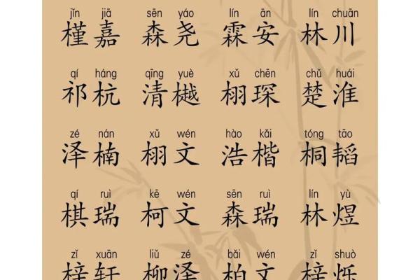 2019年3月22号卯时出生的男孩应该起什么样的名字姓名 2019年3月22号卯时出生的男孩应该起什么样的名字姓名