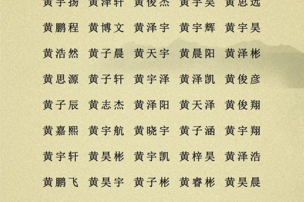 2019年5月30号丑时出生的男孩应该起什么样的名字姓名