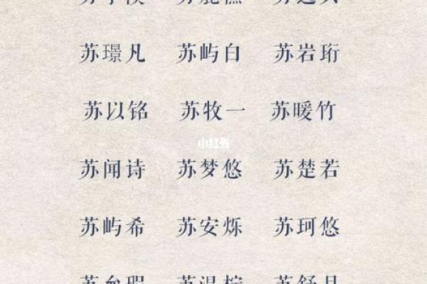 上午11点出生的属鸡男孩适合怎么样取名字姓名