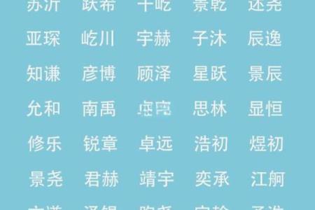 要给上午11点出生的属鼠男孩起名用什么字姓名