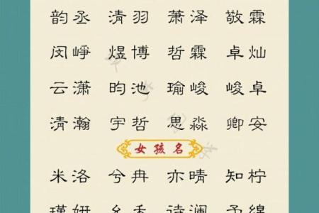 晚上9点出生的属蛇男孩该如何起名，适合用什么字姓名