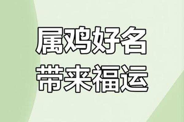 上午出生的属鸡男孩取名字适合用什么字姓名 上午出生的属鸡男孩取名字适合用什么字姓名