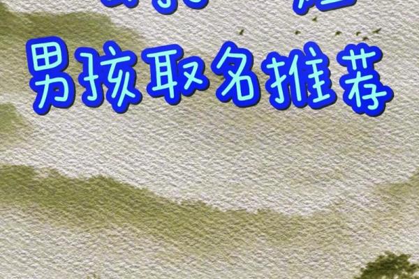 2019年5月14号卯时出生的男孩如何起名姓名