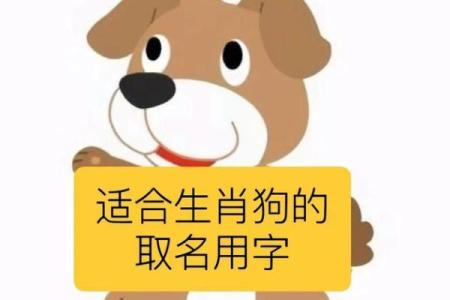 上午出生的属狗男孩如何取名，适合什么字姓名