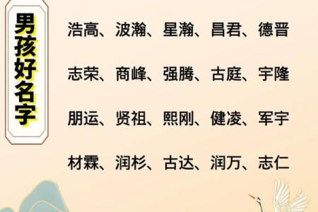 2019年6月24号卯时出生的男孩如何起名姓名