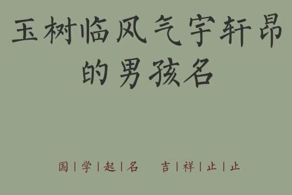 2019年3月18号子时出生的男孩应该起什么样的名字姓名