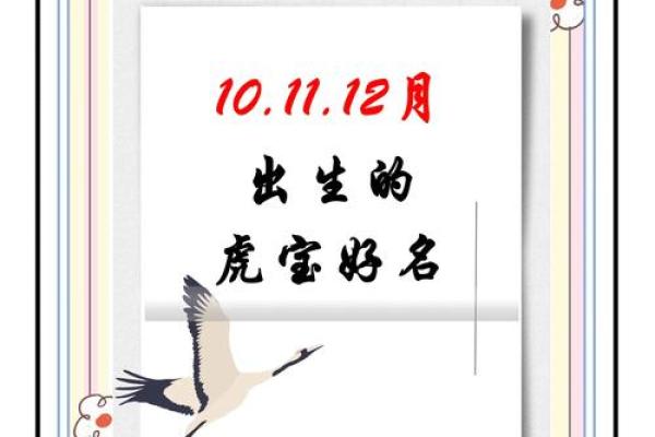 中午1点出生的属虎男孩如何起名，适合什么字姓名