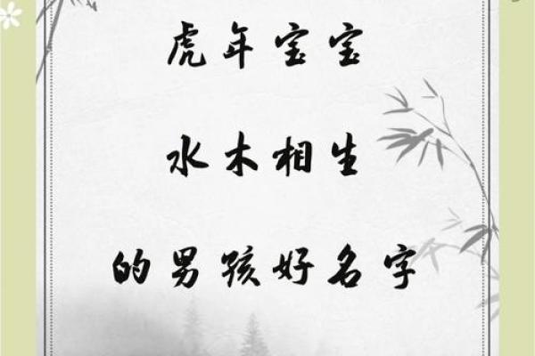 2019年5月30号寅时出生的男孩如何起名姓名