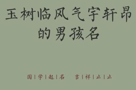2019年3月18号子时出生的男孩应该起什么样的名字姓名