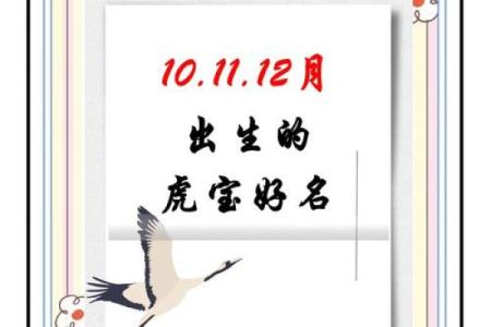 中午1点出生的属虎男孩如何起名，适合什么字姓名