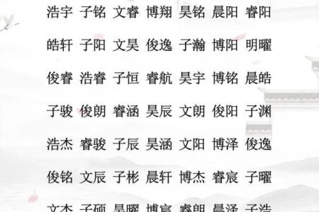 要给凌晨4点出生的属猴男孩取名字宜用什么字姓名