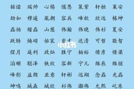 2019年6月8号寅时出生的男孩应该起什么样的名字姓名