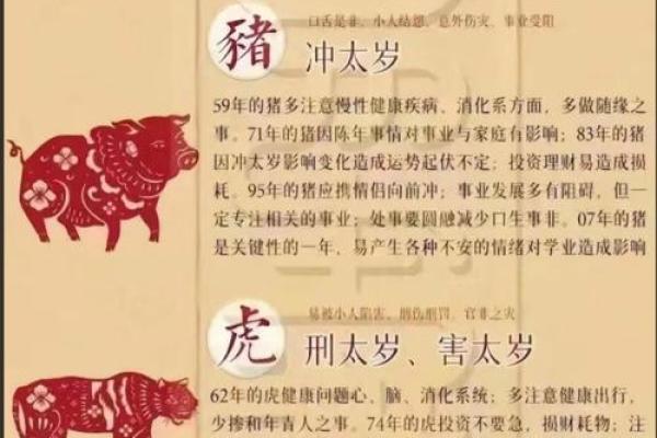 属猪辛时出生的男孩如何起名,宜用什么字姓名 属猪辛时出生的男孩如何起名,宜用什么字姓名