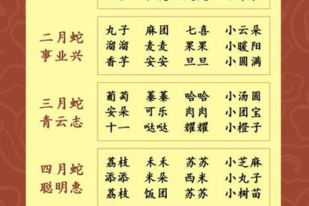 属猪辛时出生的男孩如何起名，宜用什么字姓名