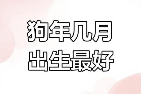 傍晚出生的属狗男孩怎么取名，适合什么字姓名