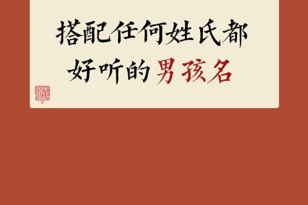 2019年6月29号子时出生的男孩起名时要注意什么姓名