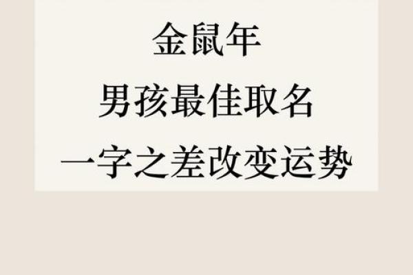 如何给下午3点出生的属鼠男孩起名字姓名