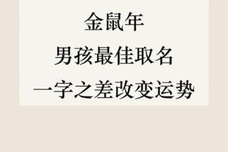 如何给下午3点出生的属鼠男孩起名字姓名