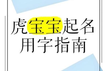 早上出生的属虎男孩如何起名，宜用什么字姓名