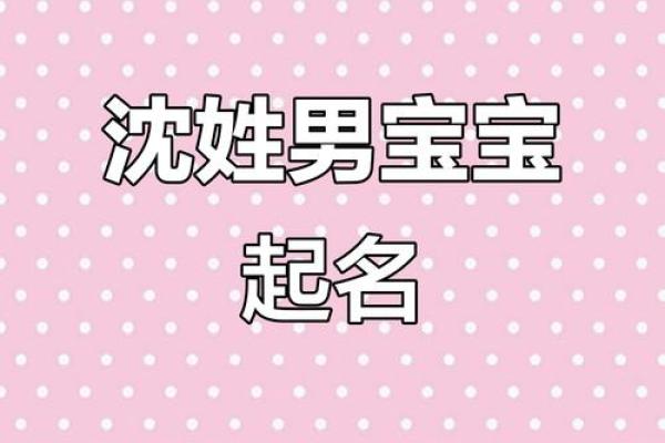 沈姓男孩名字大全-沈姓男孩起名字大全-沈姓名字大全姓名