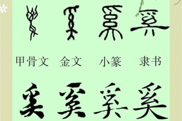奚姓男孩名字大全-奚姓男孩起名字大全-奚姓名字大全姓名