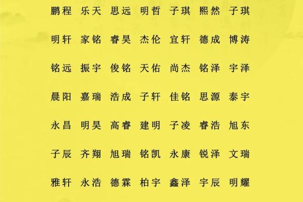 属猪辰时出生的男孩如何取名字，宜用什么字姓名