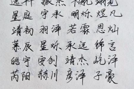 2019年3月12号丑时出生的男孩起名方法姓名