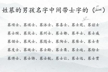 2019年3月25号未时出生的男孩起名方法姓名