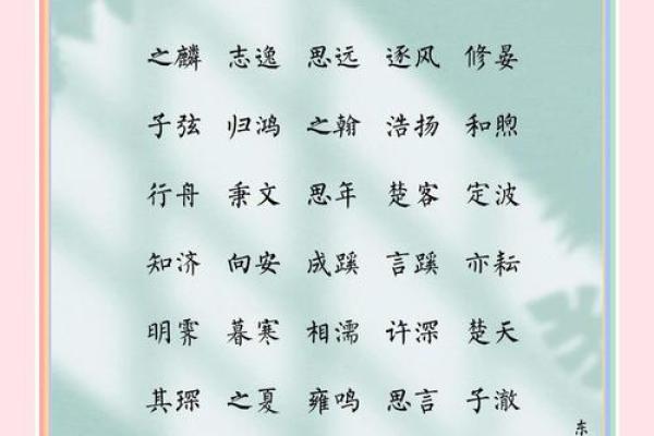 2019年6月16号卯时出生的男孩起名方法姓名